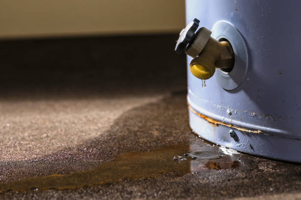 Best Commercial water damage restoration  in Kirtland Af, NM
