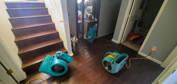 Best Mold removal after water damage  in Kirtland Af, NM