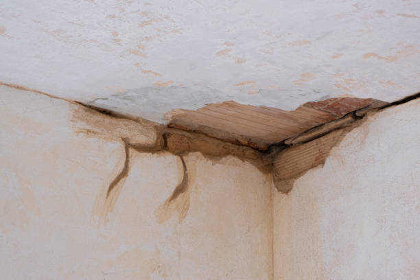 Best Basement water damage restoration  in Kirtland Af, NM