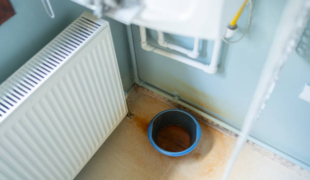 Best Water damage cleanup near me  in Kirtland Af, NM