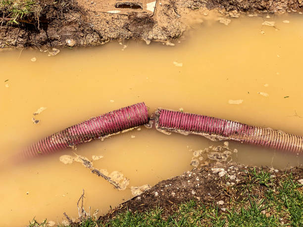 Carpet water damage restoration in NM